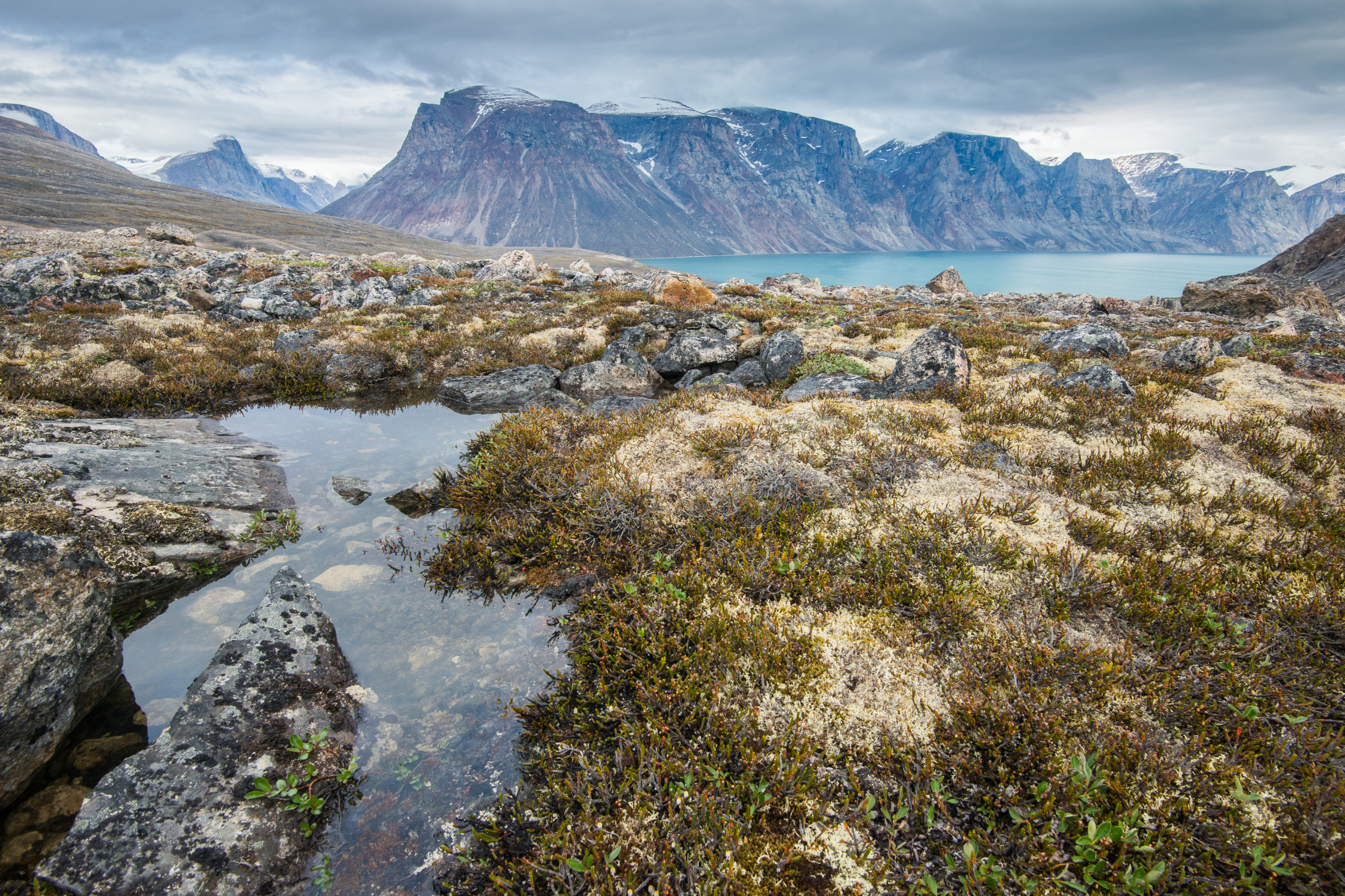 345 grinnell glacier, baffin island, nunavut.webp